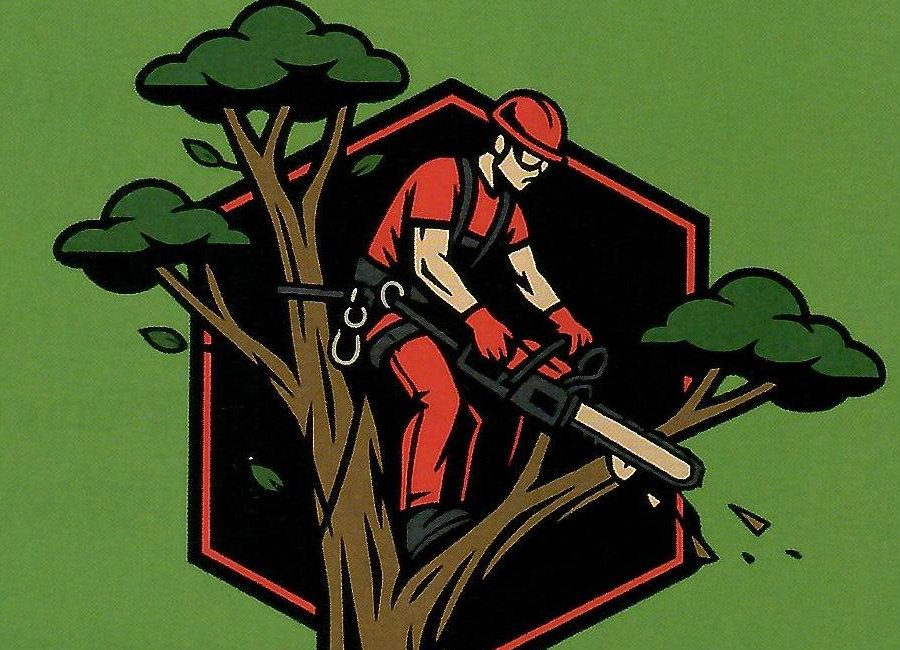 The Tree Doctor arborist logo with chainsaw and tree